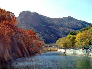 夏日控油补水神器大揭秘，护肤品测评图表深度解析